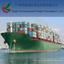 Serviços do frete de mar do armazenamento da expedição que enviam de Hong Kong a Guangzhou